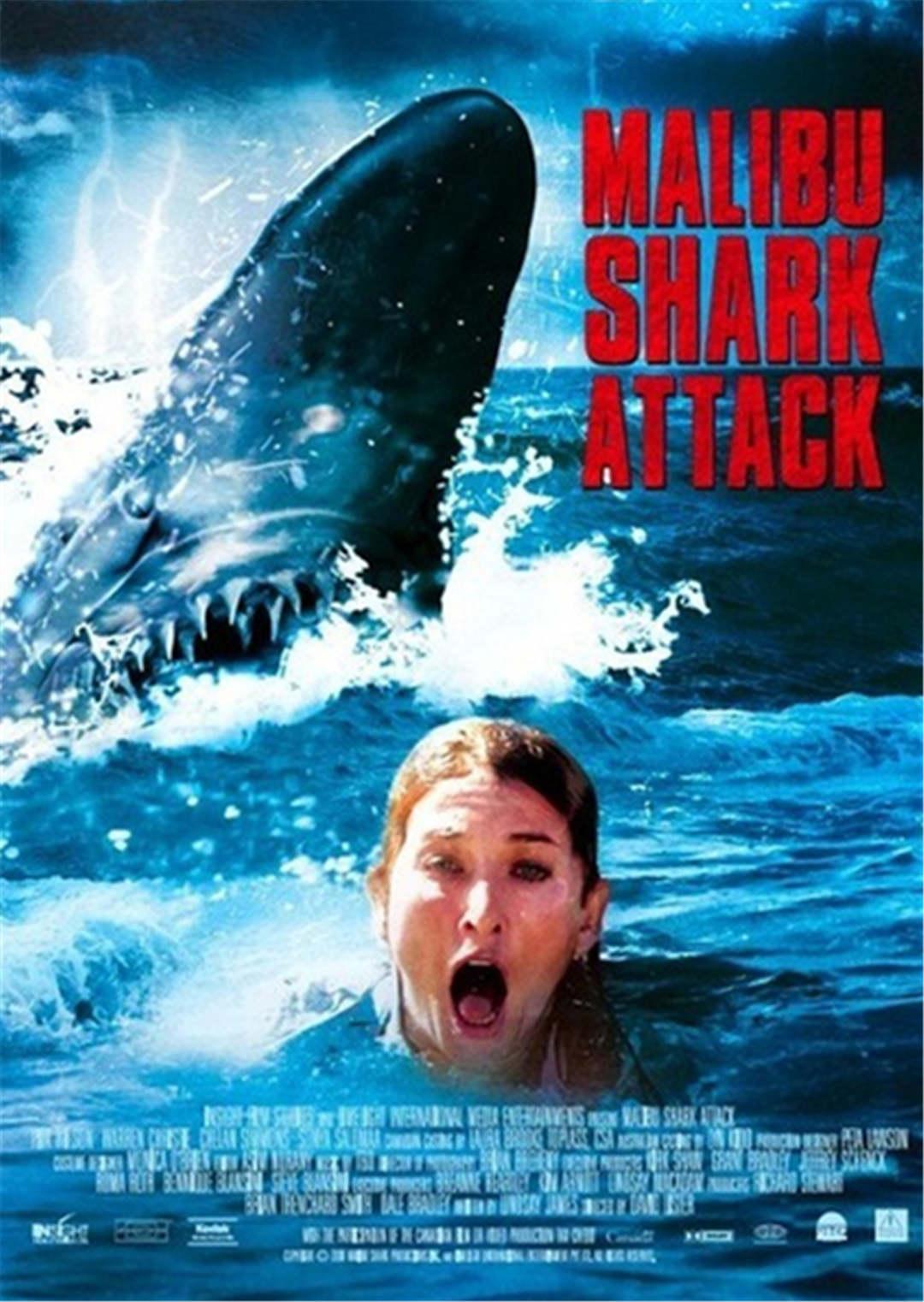 马里布鲨鱼攻击 - 视频在线观看 - 马里布鲨鱼攻击 
