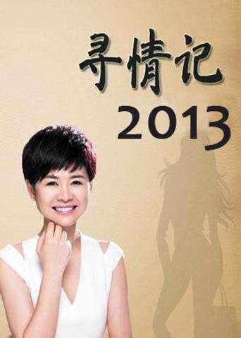 寻情记2013