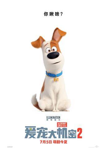 爱宠大机密2