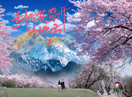 去桃花盛开的地方 10集