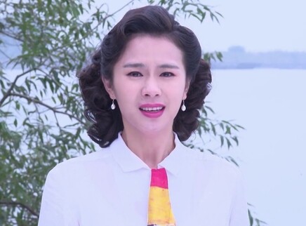 虎胆神鹰 14集