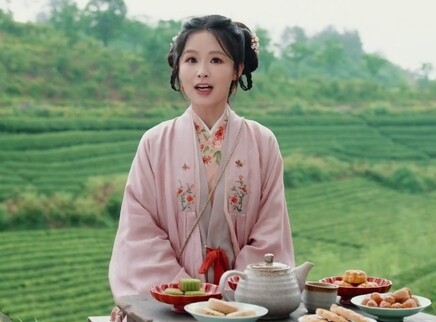 玉茗茶骨之玉茗科普小课堂 26集